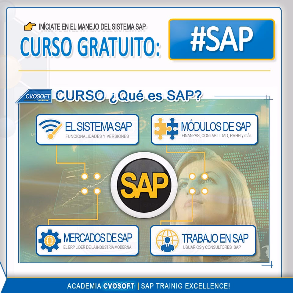 &iquest;Cu&aacute;l es el mejor curso para aprender SAP?