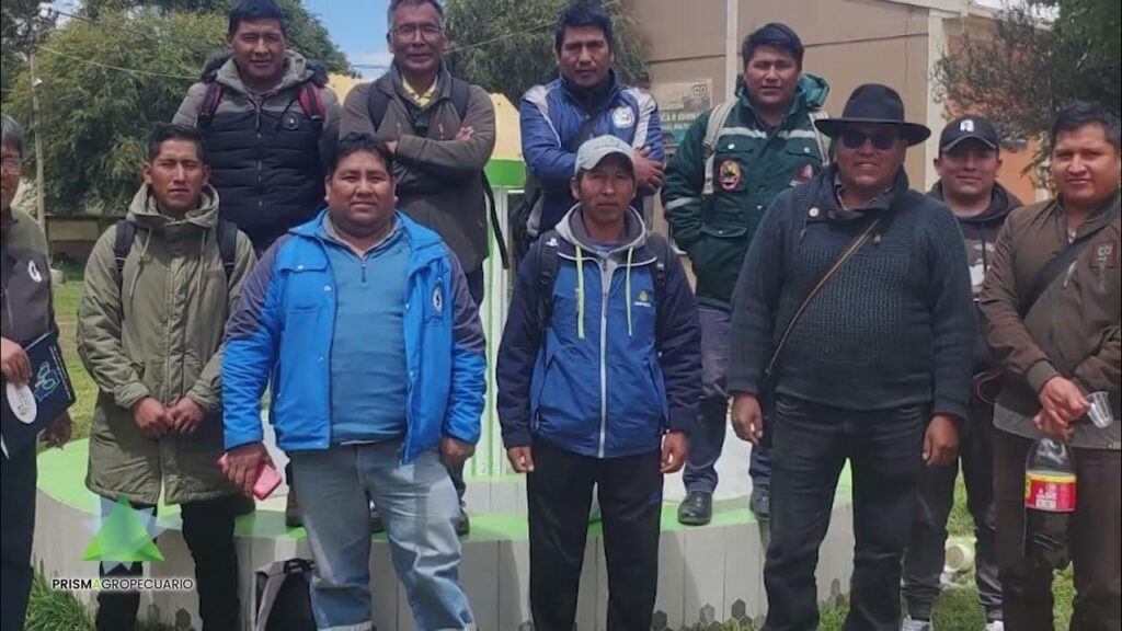 ABRO: El Curso que Abre tu Camino a la Libertad