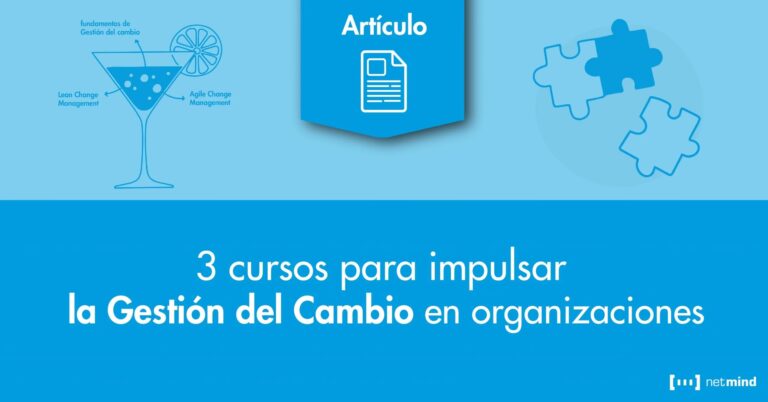 El Cambio al Volante: Etapas para Ser Conductor