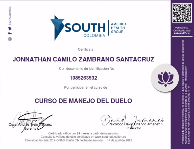 ¿Cuáles son los 5 pilares del duelo?