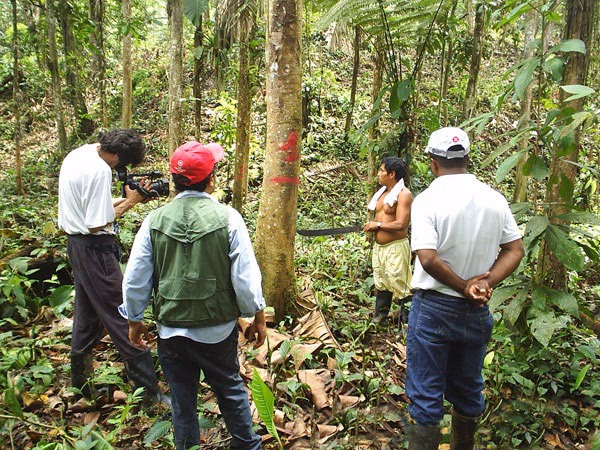 Gu&iacute;a Definitiva para Elegir tu Curso de Manejo Ideal