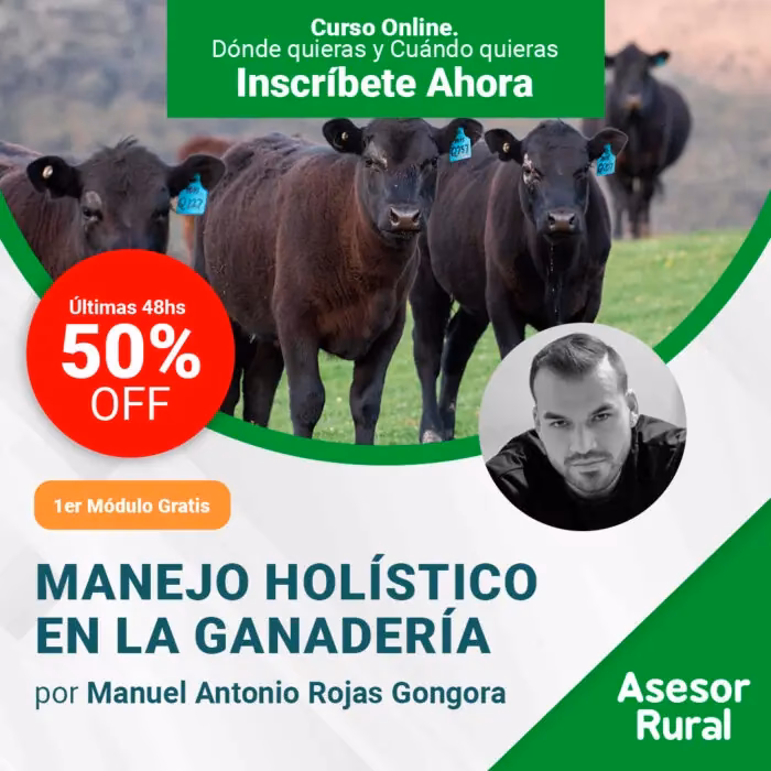 &iquest;Qu&eacute; sugiere el Manejo Hol&iacute;stico?