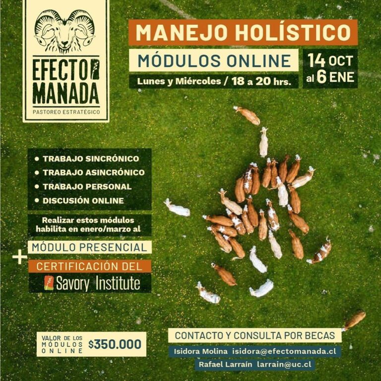 Manejo Hol&iacute;stico: Aprende a Conducir de Forma Total