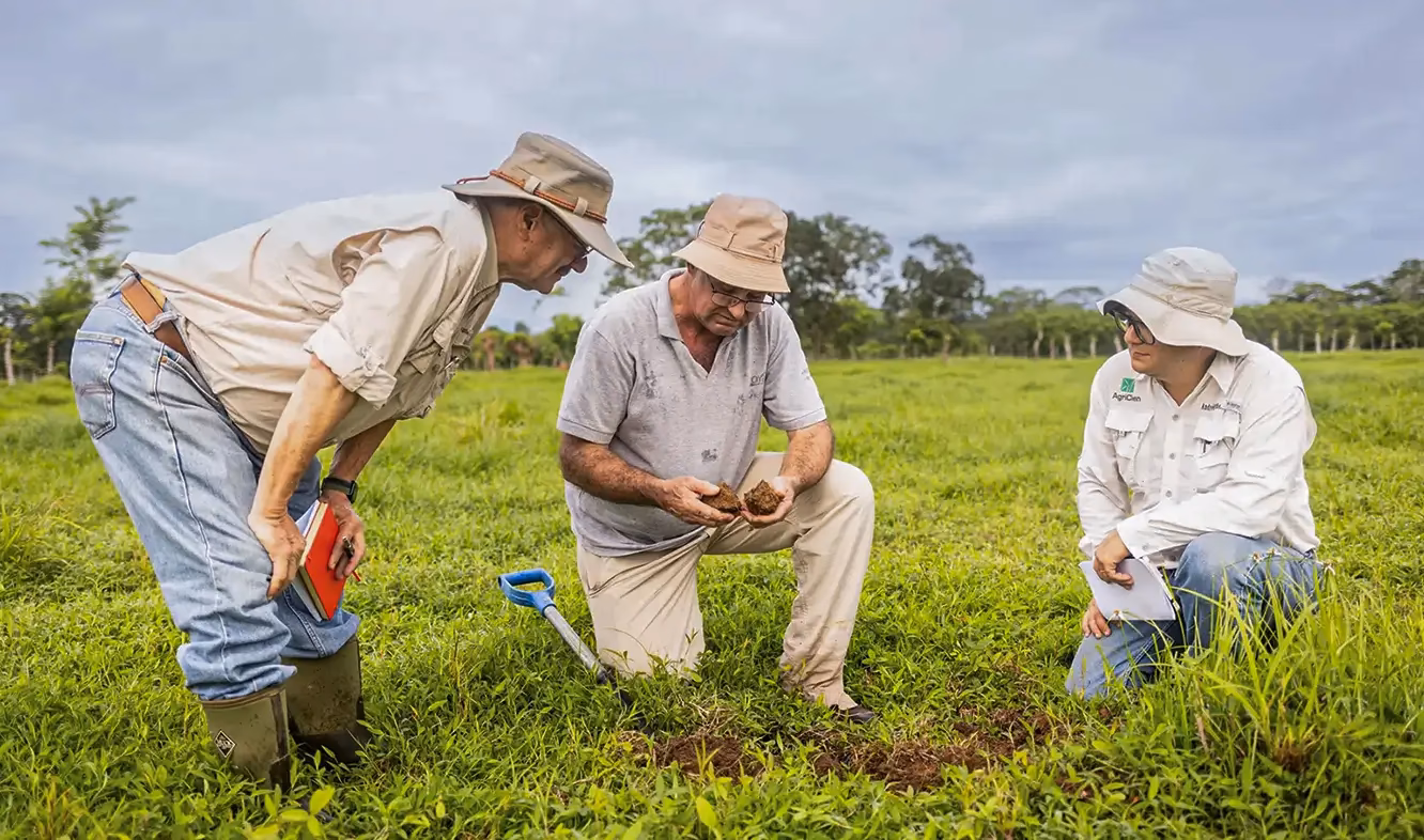 &iquest;Cu&aacute;les son los 10 principios del Manejo Hol&iacute;stico?