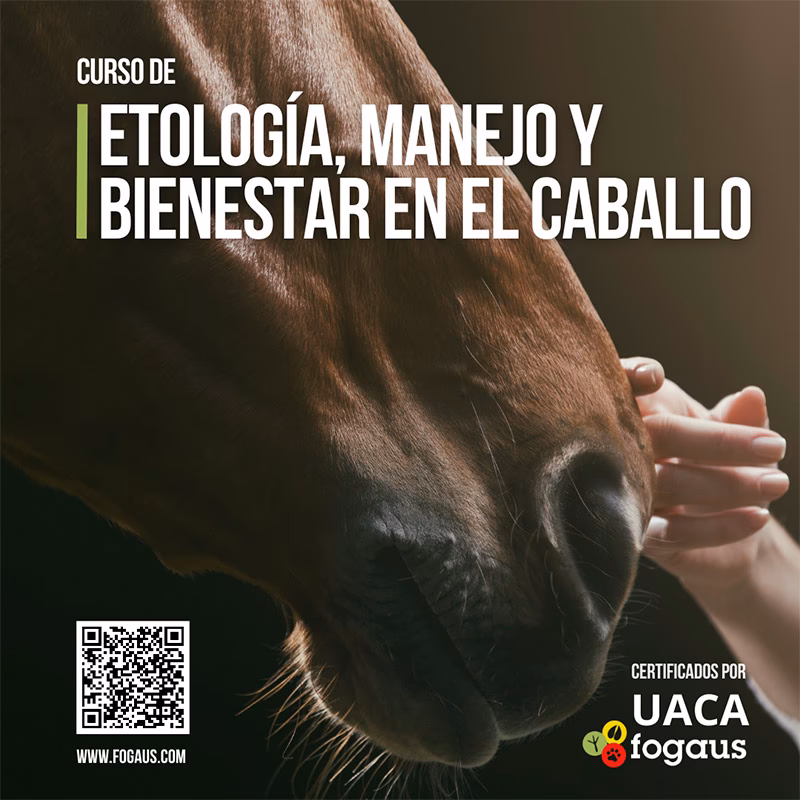 &iquest;Qui&eacute;nes deben recibir capacitaci&oacute;n en manejo de animales?