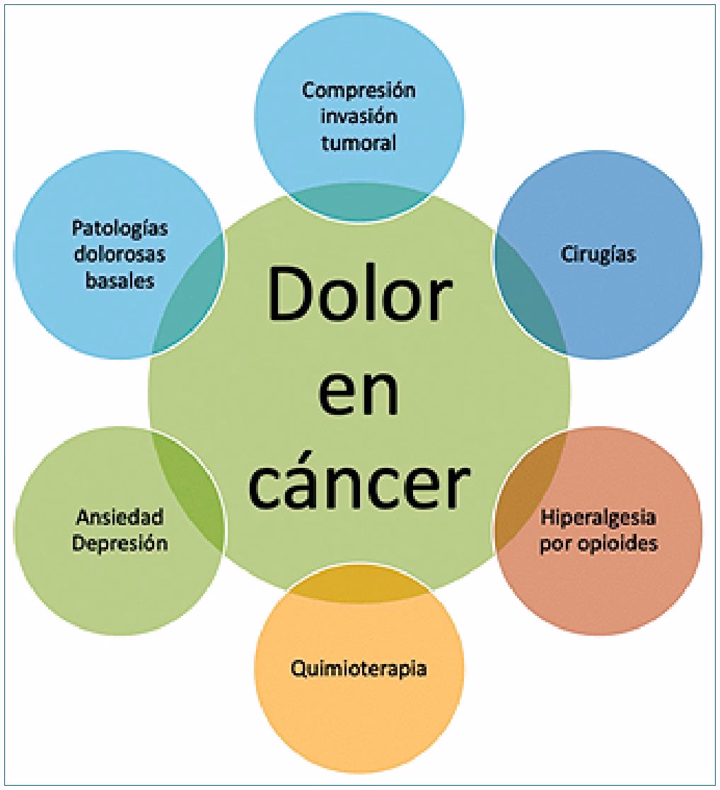 &iquest;Cu&aacute;les son los 8 f&aacute;rmacos opioides?