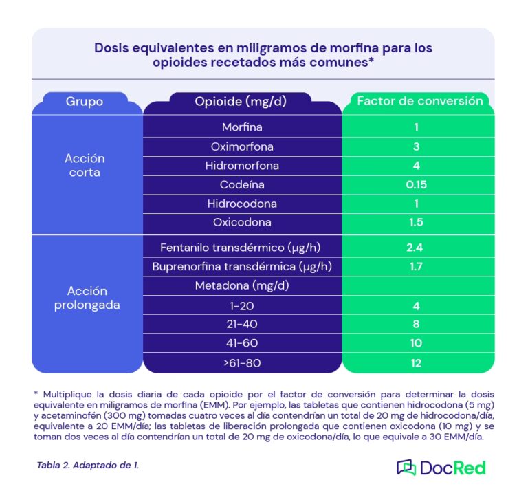 Curso de Manejo: Gu&iacute;a para Futuros Conductores