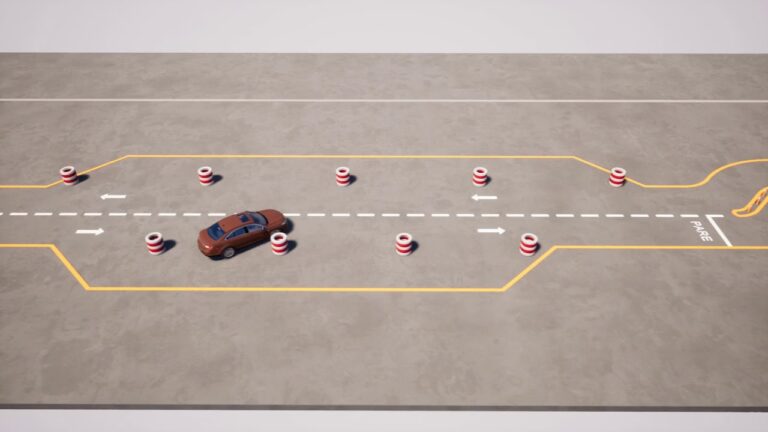 Gu&iacute;a Completa para la Licencia de Conducir Bah&iacute;a Blanca