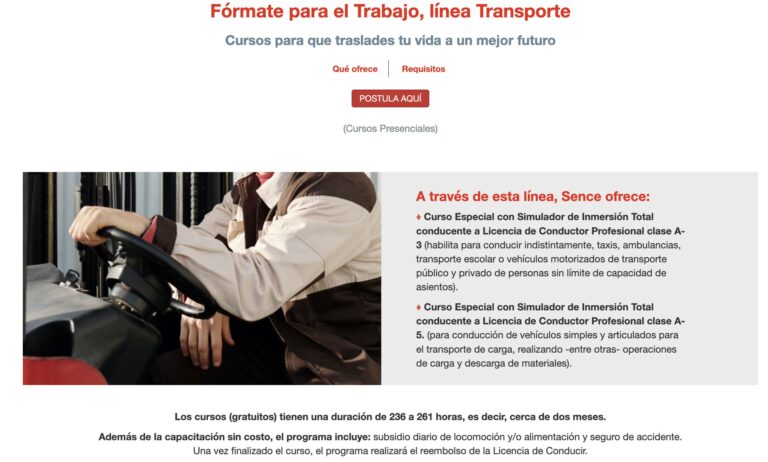 Costo de la Licencia Profesional Tipo C: Gu&iacute;a