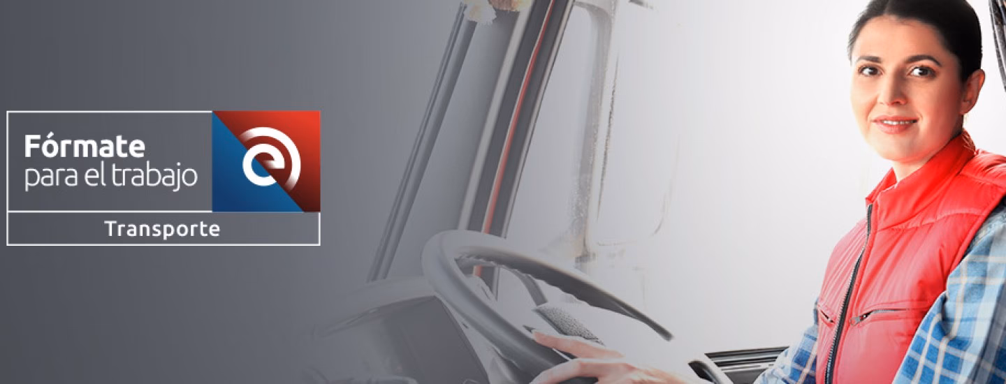 &iquest;Cu&aacute;nto cuesta la licencia profesional?