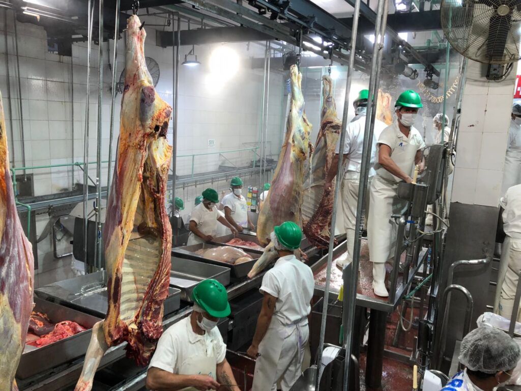 Carnet de Manipulador de Alimentos: Guía Completa