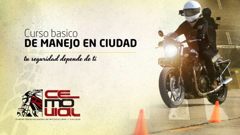 Costos y Tipos de Licencias de Conducir Profesionales