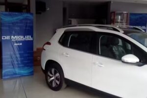 De Miguel Automotores