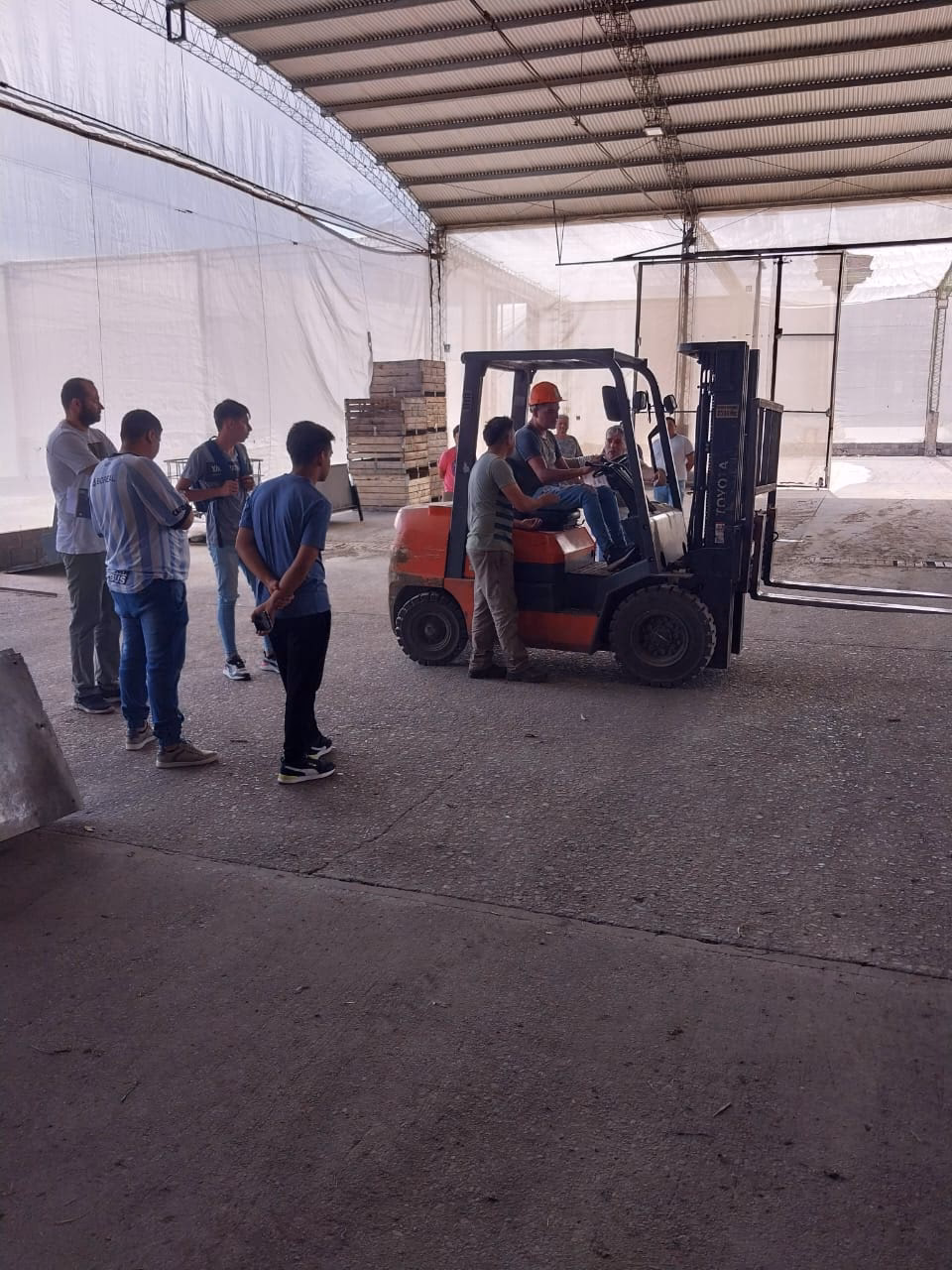 &iquest;Qu&eacute; categor&iacute;a es para autoelevador?