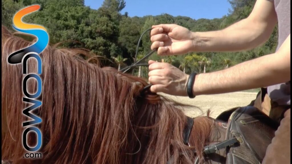 Guía Definitiva para Aprender a Montar a Caballo