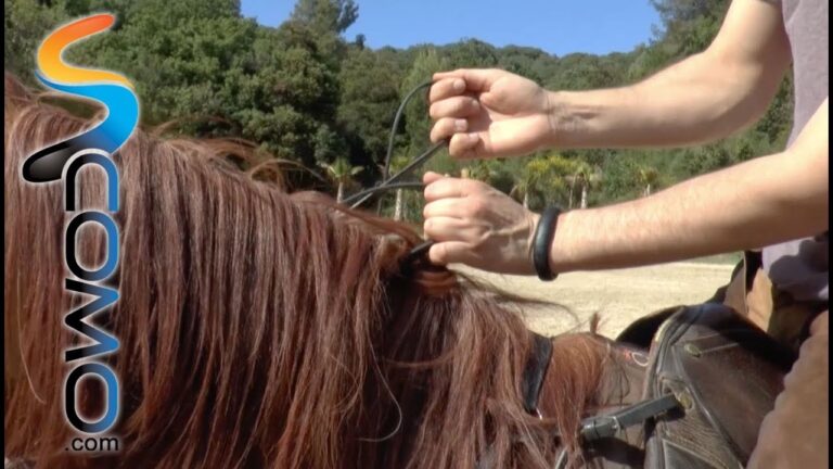 Gu&iacute;a Definitiva para Aprender a Montar a Caballo