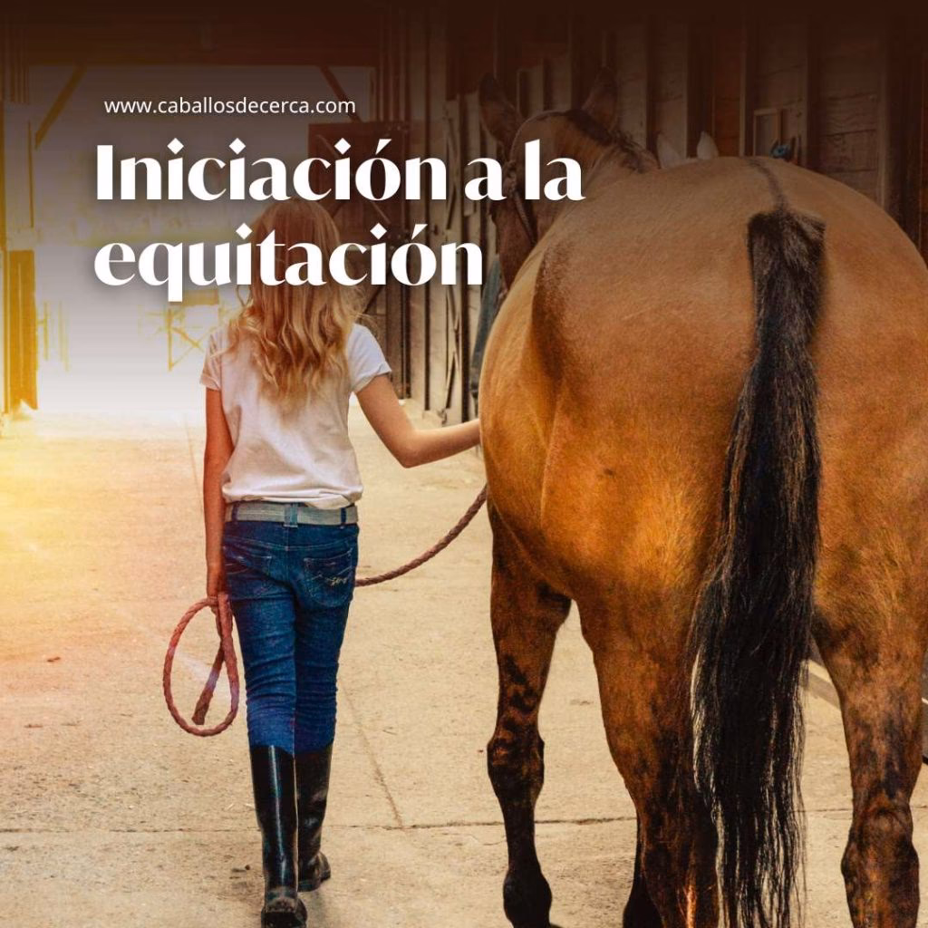 &iquest;Cu&aacute;nto tiempo tarda una persona en aprender a montar a caballo?