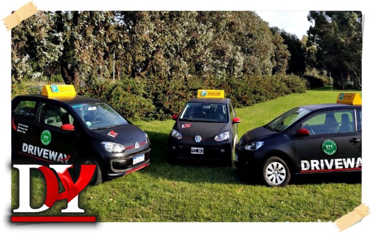 Licencia de Conducir en Mar del Plata: Gu&iacute;a 2024