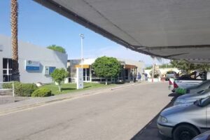 Emicar Licencias De Conducir