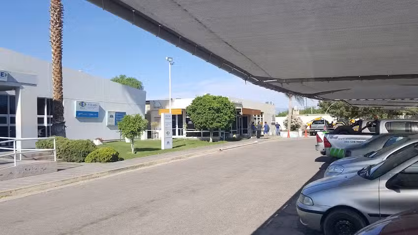 Emicar Licencias De Conducir