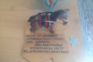 Escuela de Conductores Alberto