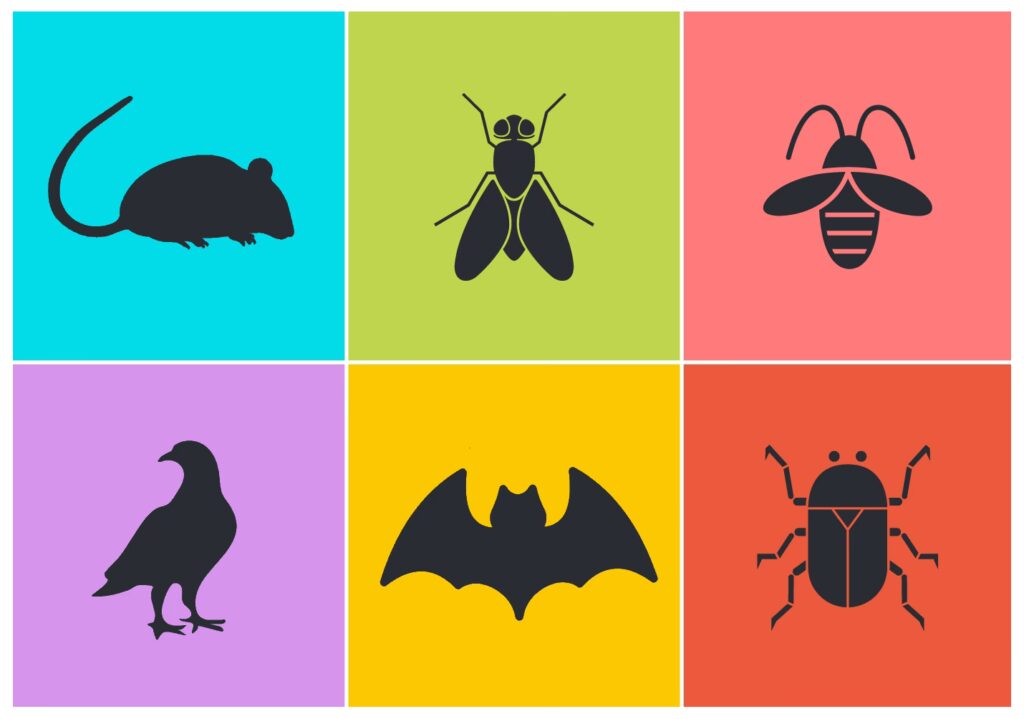 Los 3 Pilares del Manejo Integrado de Plagas