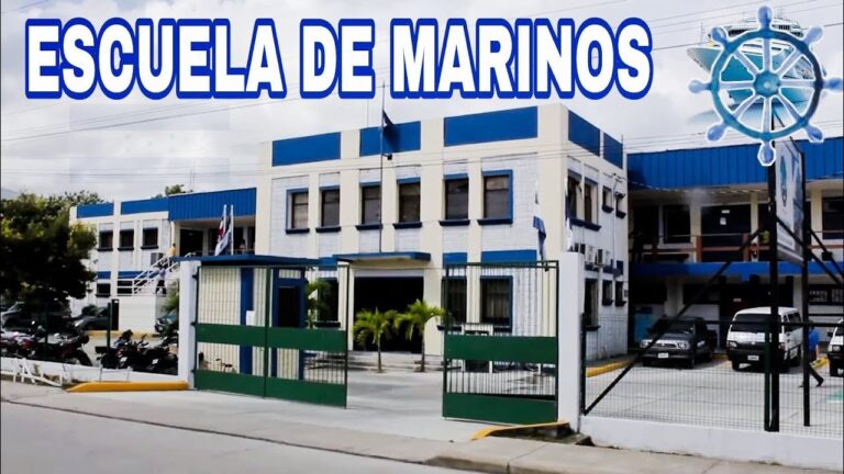 Academias de Conducci&oacute;n y Formaci&oacute;n Especializada