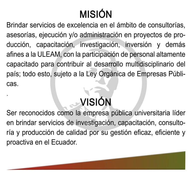 Misi&oacute;n y Visi&oacute;n al Volante: Claves del Conductor