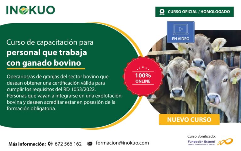 Los 5 Pilares del Buen Conductor: Una Gu&iacute;a &Uacute;nica