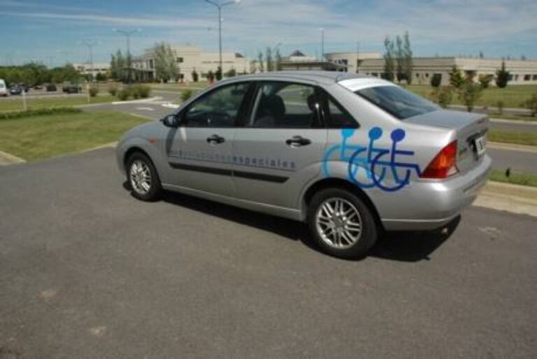 Volver a Conducir: Rehabilitaci&oacute;n y Autoescuelas