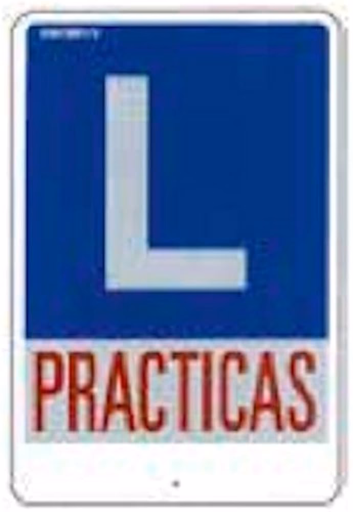 La ‘L’ de novel: Guía completa para evitar multas