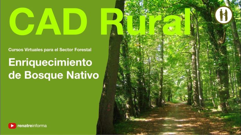 Gu&iacute;a Completa de Cursos de Manejo y Autoescuelas