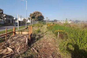 La Soñada, huerta Comunitaria, Orgánica y Solidaria.