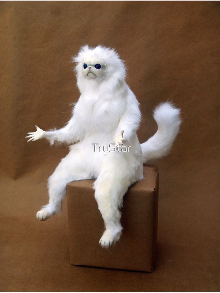 &iquest;C&oacute;mo se llama el gato blanco de los memes?