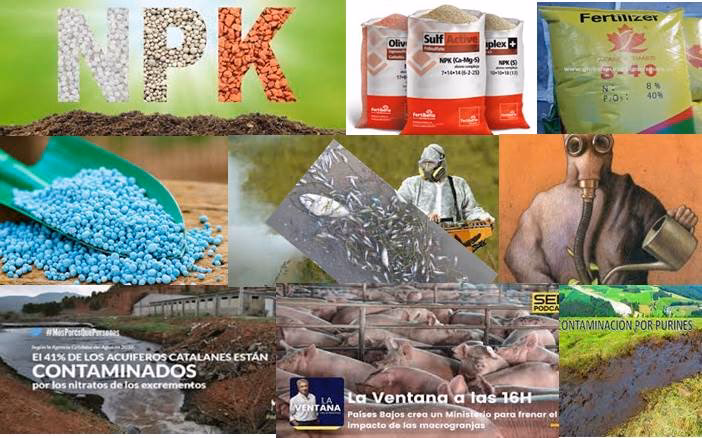 ¿Cuál es la conclusión de los ciclos biogeoquímicos?