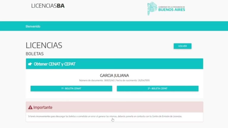 Licencia de Conducir Gratis en Chile: Gu&iacute;a Completa