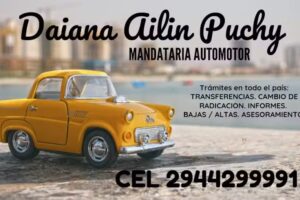 Puelo Gestoria Automotor