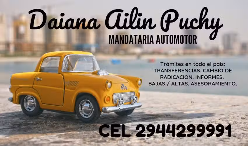 Puelo Gestoria Automotor