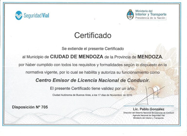 Ley 9024 y Licencias: Gu&iacute;a para Conducir en Mendoza