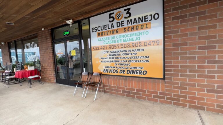 CESVI M&eacute;xico: Expertos en Seguridad Vial y Reparaci&oacute;n