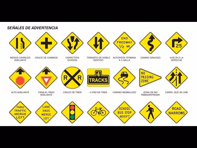 &iquest;Qu&eacute; viene en el examen te&oacute;rico de manejo?