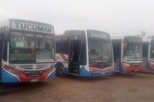 Transporte automotor Agua Dulce SRL