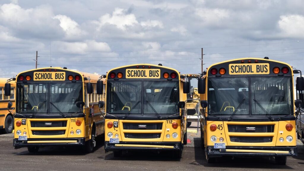 U Drive: ¿Autoescuela o Alquiler de Coches?