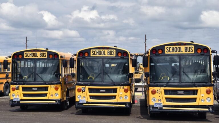 U Drive: &iquest;Autoescuela o Alquiler de Coches?